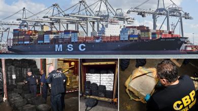a photo of the MSC Gayana drug bust