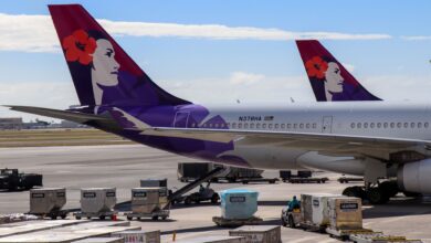 Close up pink and purple tail sections on Hawaiian Airlines jets at an airport.