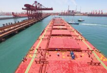 photo of a dry bulk carrier