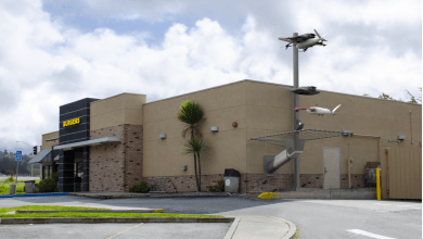 Zipline drone delivery system