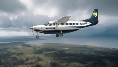 A white single-engine prop plan with a black tail logo flies against a dark gray sky, with open fields and a lake below.