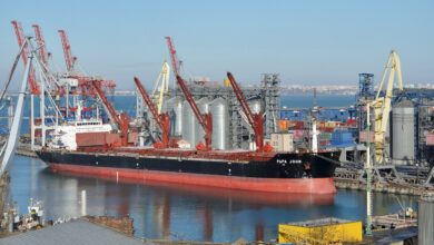 a photo of a ship loading Ukrainian grain