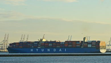 photo of container shipping