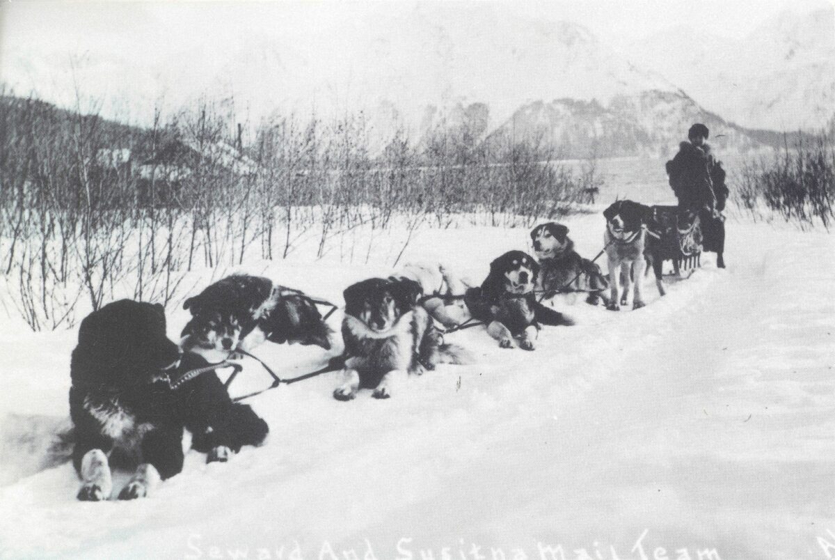 dog sled handing over mail in Alaska in 1913 vintage