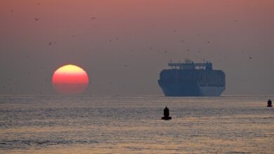 a photo of a container ship; spot rates are falling