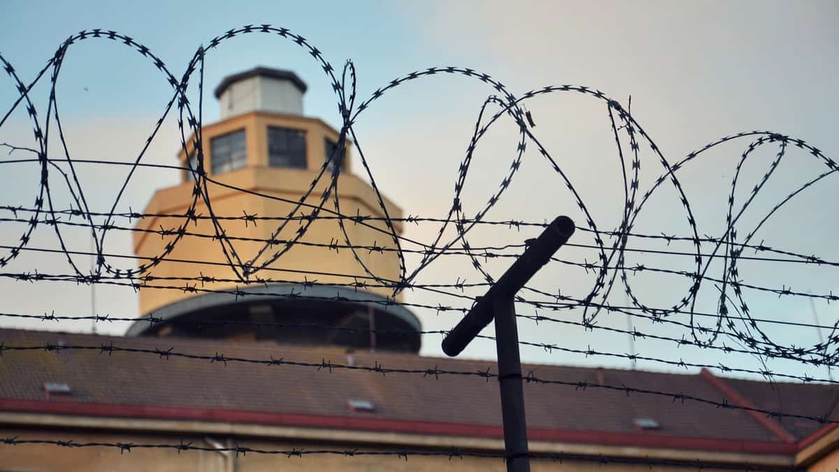 Truck driver sentenced for stealing rig hauling Mike’s Hard Lemonade