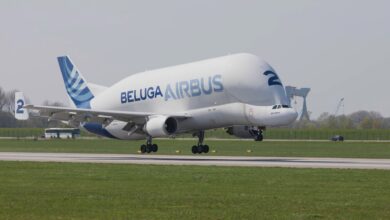 An odd Airbus plane shaped like a Beluga whale lands on a runway.