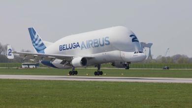 An odd Airbus plane shaped like a Beluga whale lands on a runway.