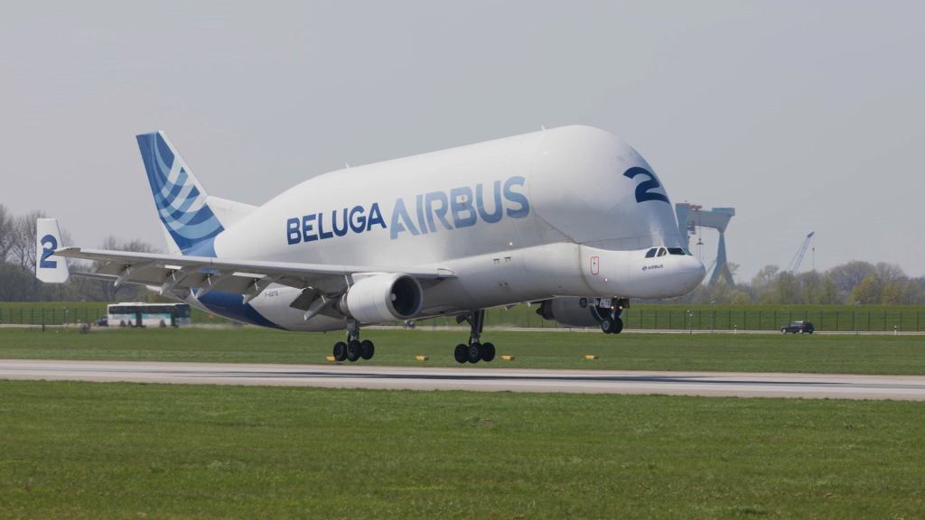 An odd Airbus plane shaped like a Beluga whale lands on a runway.
