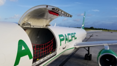 Close up of open cargo door on aircraft.