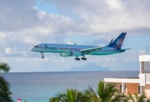 An Amerijet cargo plane with blue tail approaching runway on a Caribbean island with ocean water in the background and palm tree nearby.