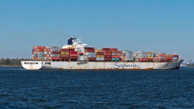 A small containership seen at sea.
