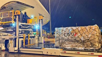 A pallet of cargo tied down with netting on a hydraulic lift for loading into a commercial aircraft.
