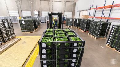 a forklift carrying crates of fresh food in a warehouse.