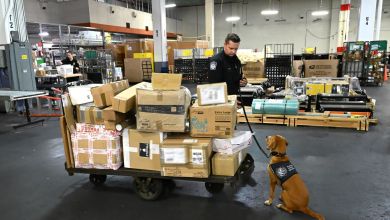 A K9 inspection team searches a mail facility for illicit drugs.