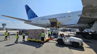 A large jet with blue United Airlines logo on tail with a pallet of cargo ready to be lifted through the cargo door on a sunny day.
