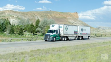 An Old Dominion daycab and two pup trailers on a highway