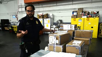 A U.S. Customs officer inspects mail shipments at JFK airport.