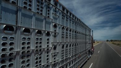 livestock truck