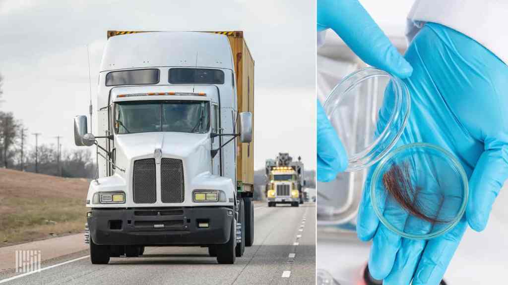 Truck and hair sample