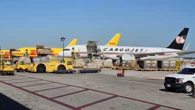 Yellow DHL cargo aircraft rest beside a blue-white Cargojet freighter at an airport, with tugs on the ground.