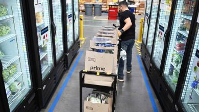A store worker fills grocery bags in refrigerated aisle for online delivery.