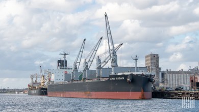 A container ship at dock, one of many that may be hauling goods under the new US-EU trade deal