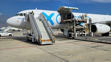 Cargo door is open on airplane with light-blue X painted on side, with stairs leading to cockpit door.