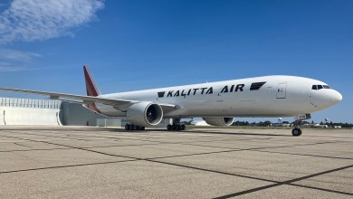 A white Kalitta Air cargo jet with black lettering sits on the tarmac on a sunny day.