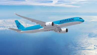 A computer-generated image of a Korean Air A350 jet in light-blue color.