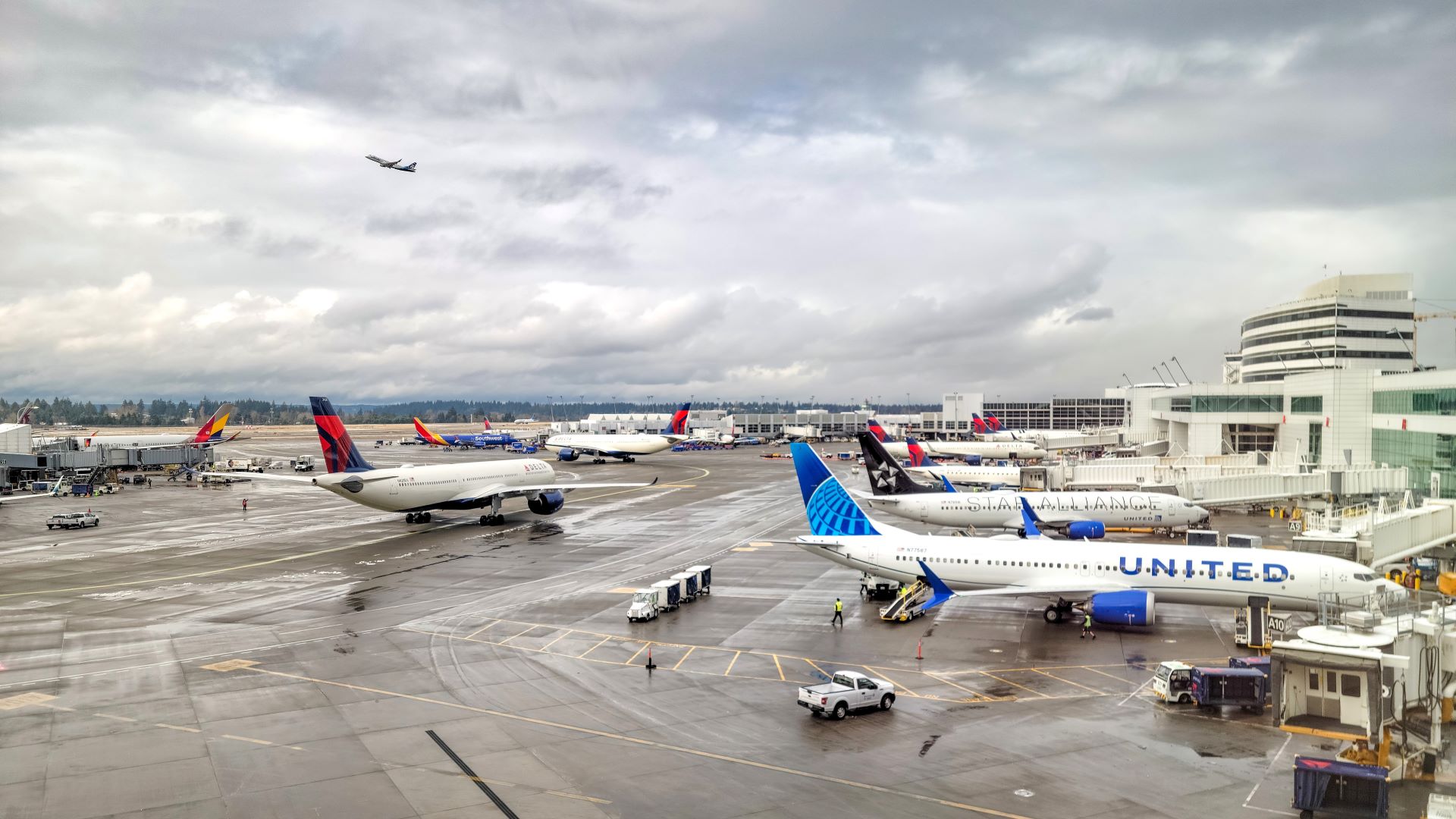 United Airlines refuses Seattle cargo because of fuel shortage