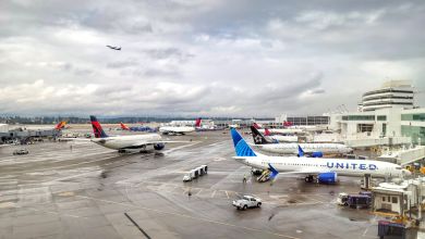 United Airlines and other jets at airport terminal gates on a cloudy day.