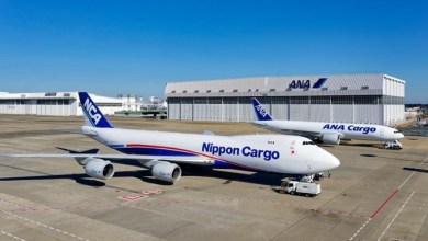 A Nippon Cargo jumbo jet sits next to an ANA Cargo jet at an airport terminal a sunny day.