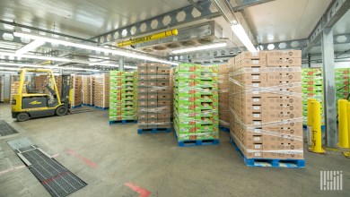 pallets and a forklift at a temperature-controlled warehouse