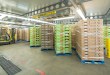 pallets and a forklift at a temperature-controlled warehouse