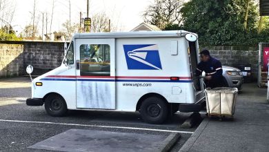 Side view of a USPS van being loaded from the rear by letter carrier.