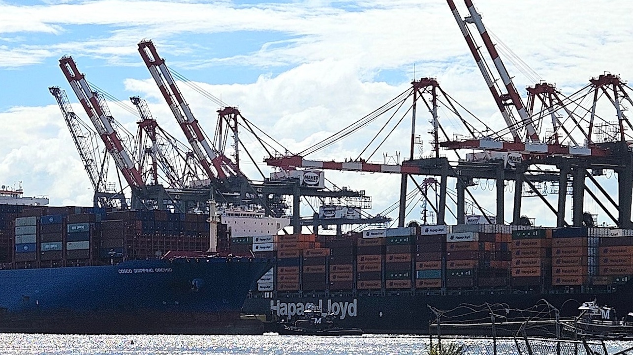 EXCLUSIVE: BlackRock could bid for largest New York container terminal