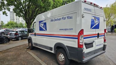 Rear side view of a USPS delivery van in a parking lot with trees.