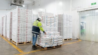 Worker in a cold storage facility