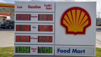 Close up of Shell station sign showing fuel prices.
