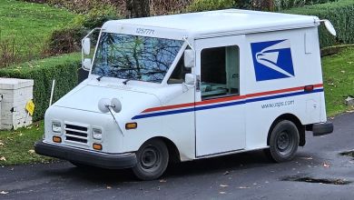 Side view from above of a USPS van delivering mail in a leafy suburb.
