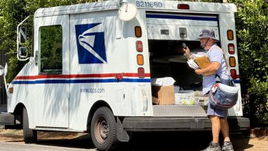 A letter carrier unloads mail from the back of a U.S. Postal Service van.