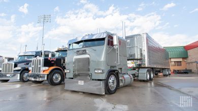 Gray White Freightliner semi-truck numbered 418 pulls a Thermo King refrigerated trailer while parked alongside other big rigs at a terminal.