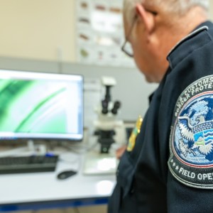 CBP finds $9.5M in meth hidden inside detergent shipment at Texas border