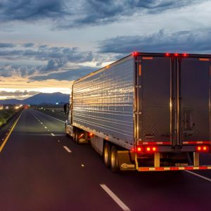 Canadian trucker arrested in New Mexico for alleged cabotage violations