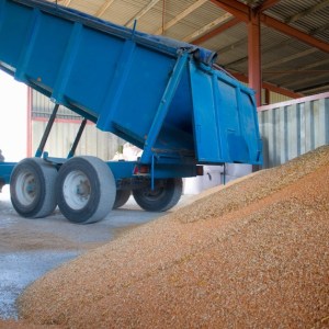 One complaint exposed $800K Texas grain theft spanning 176 loads