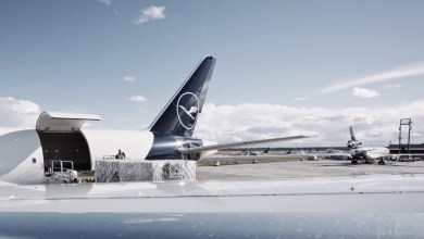 Blue-tailed Lufthansa Cargo jet gets loaded in side door with pallet.