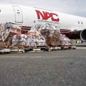 Northern Air Cargo names permanent CEO