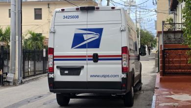 Rear view of a USPS delivery van parked on a small street.